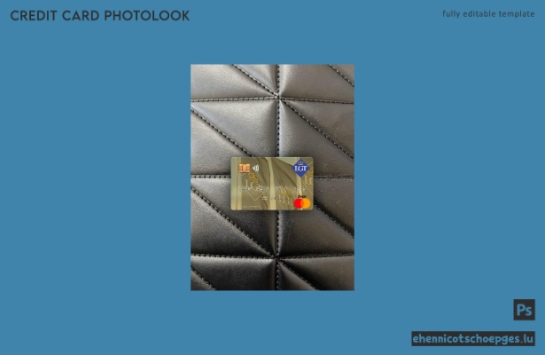 Liechtenstein LGT Bank Mastercard Photolookfront Beispielvorschau